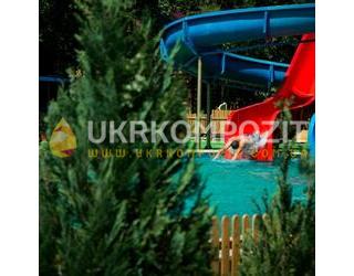 ВАЛИЛО ЗАКАРПАТСКАЯ ОБЛ. – изображение 2